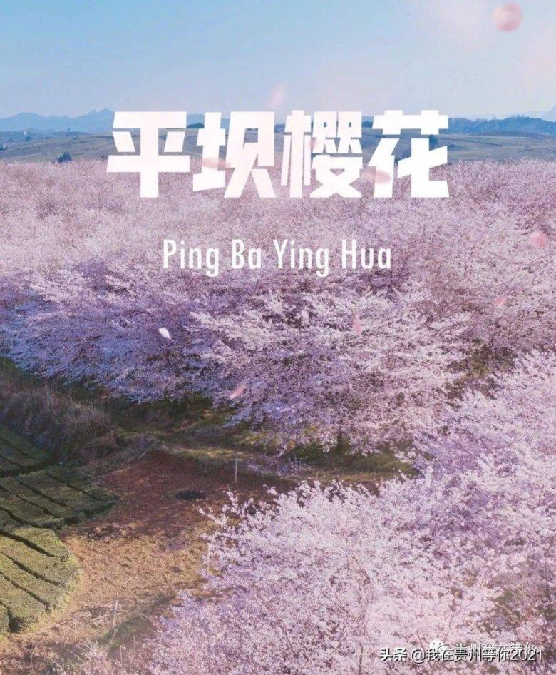 重磅！我国这一新发现，刷新“自然界之最”！