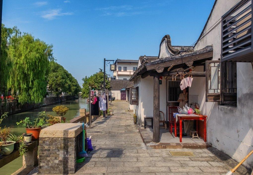 营救小乌龟